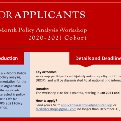Call for Applications for DROPS 2020-2021 Cohort of 7-Month Policy Study Workshop