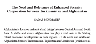 The Need and Relevance of Enhanced Security Cooperation between Turkmenistan and Afghanistan
