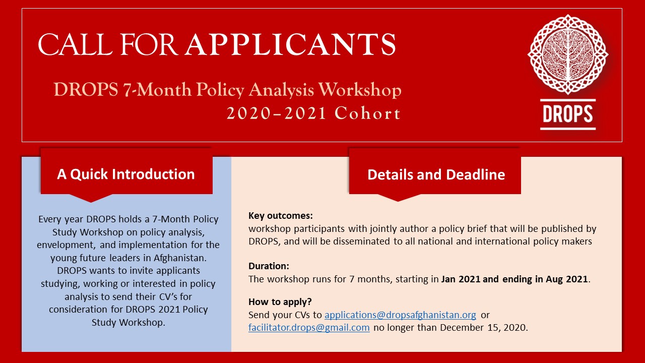Call for Applications for DROPS 2020-2021 Cohort of 7-Month Policy Study Workshop